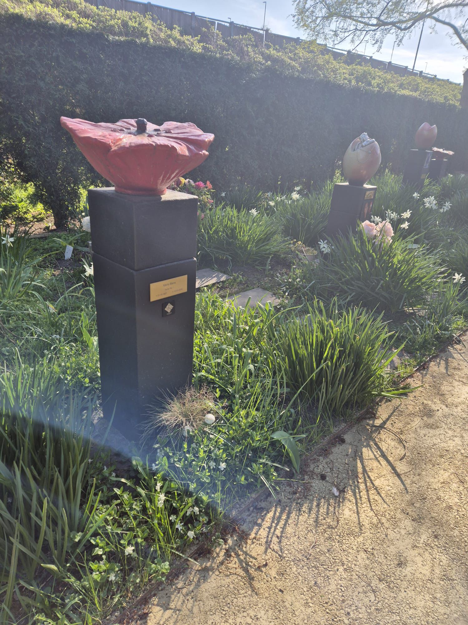 Customer Image